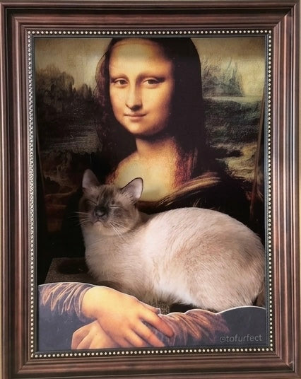 Mona Kitties